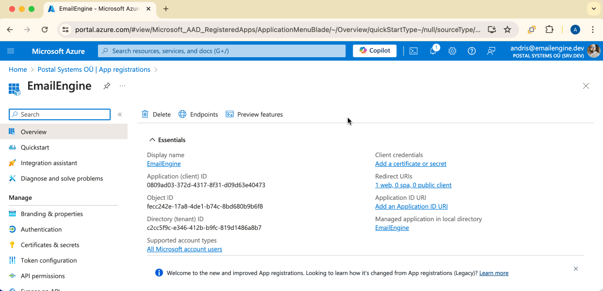 Application overview page with client ID